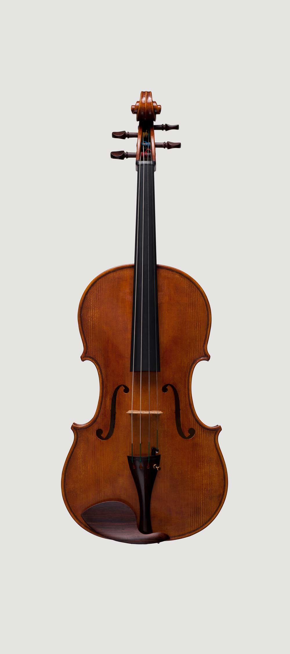 Viola