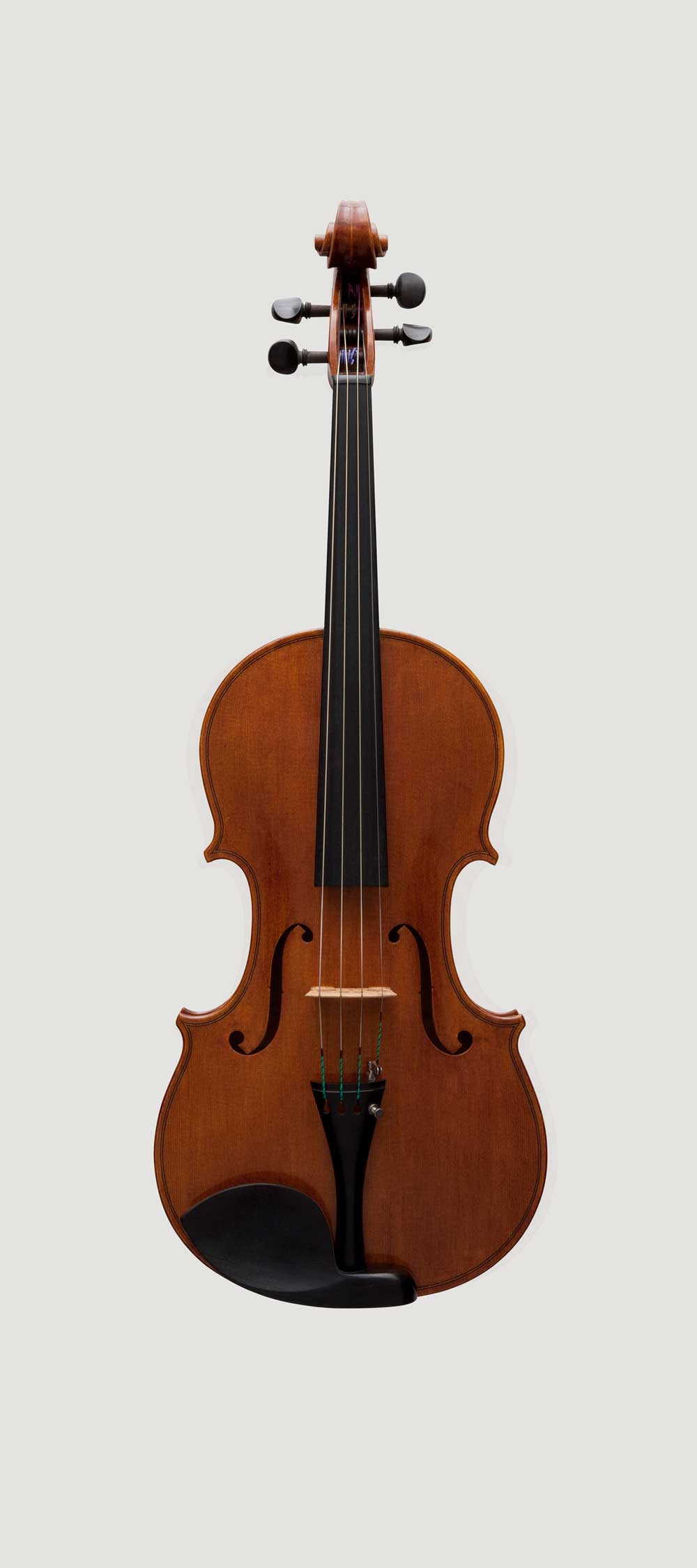 Viola