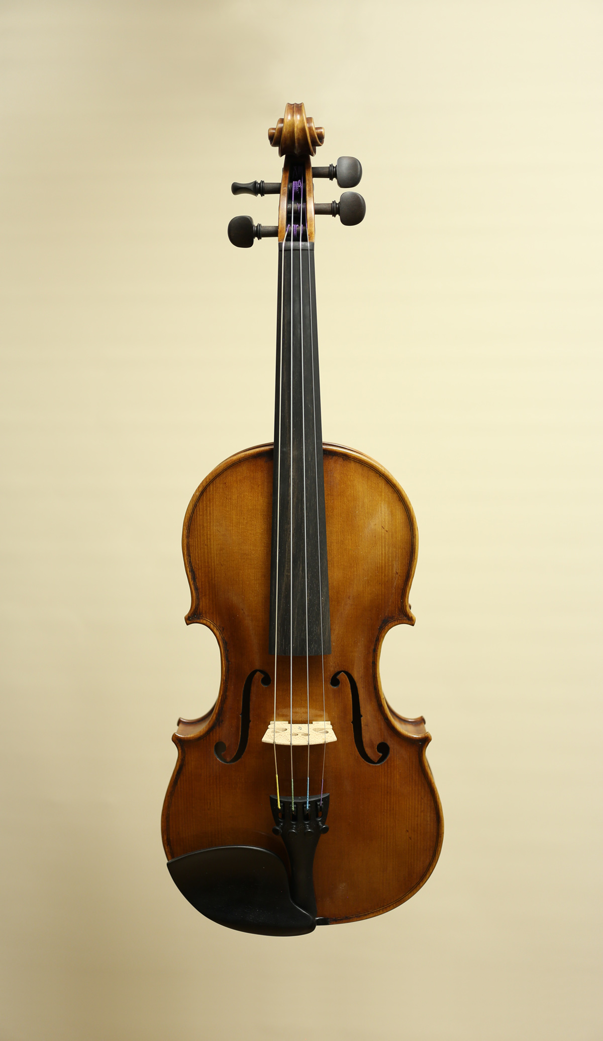 Frontansicht einer Violine.