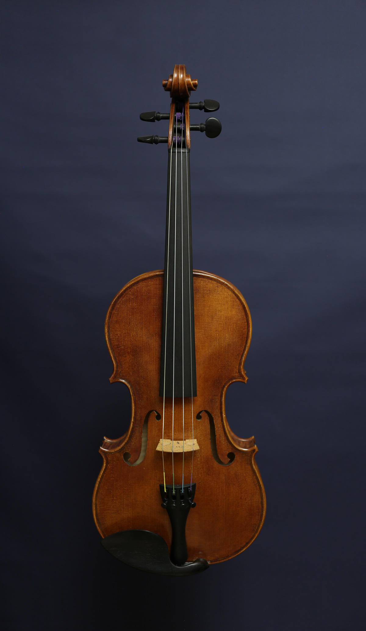 Frontansicht einer Violine.